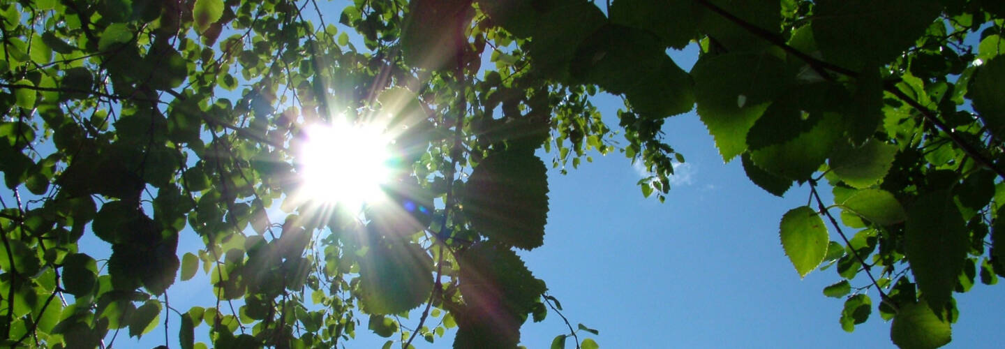 Kuvassa puiden lehtiä, joiden takaa paistaa aurinko. Kuva: Jori Samonen, Pixabay.