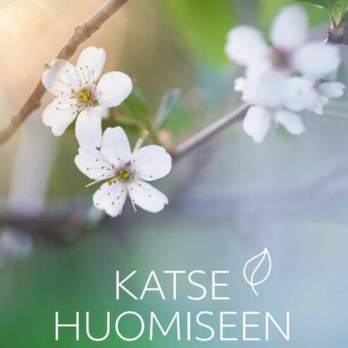 Katse huomiseen -ryhmämateriaalin kansikuva, jossa kukka ja teksti "Katse huomiseen"